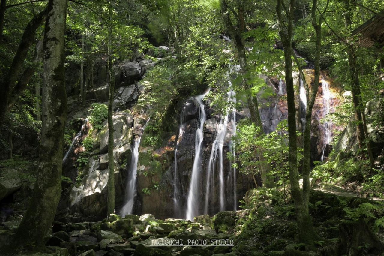 Moku杢 Villa Miyazu Bagian luar foto