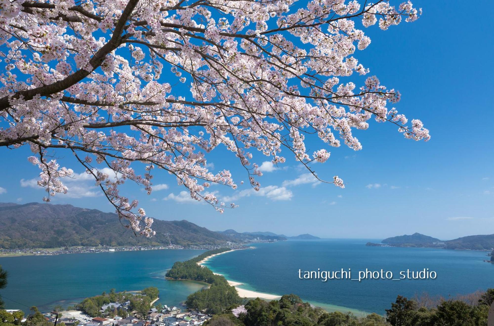 Moku杢 Villa Miyazu Bagian luar foto